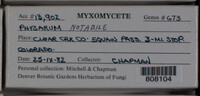 Image Associated With the Occurence